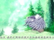 女郎蜘蛛