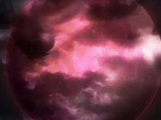 女郎蜘蛛