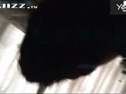 秦先生第七部最新发表-公寓爆操黑丝空姐装琪琪 被调教的越来越骚了